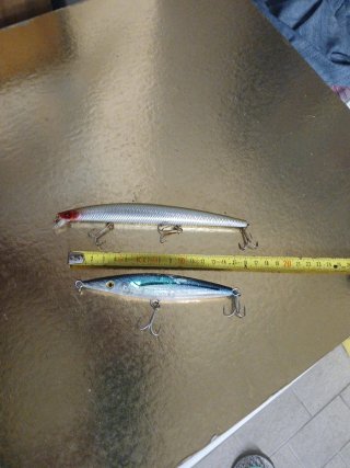2 Esche artificiali da pesca
