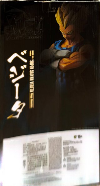 Vegeta Manga Dimensions de la línea G