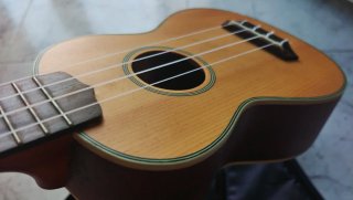 Ukelele Custom con funda acolchada