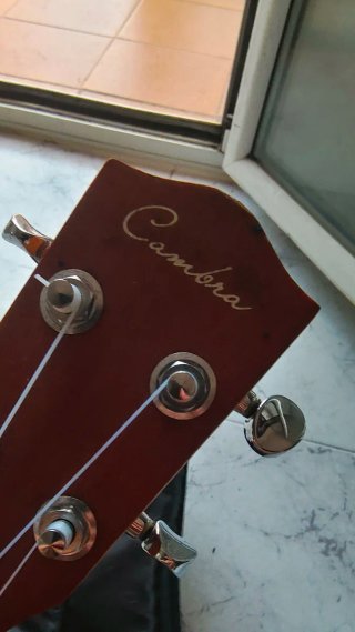 Ukelele Custom con funda acolchada