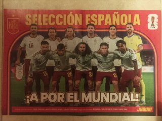 Lote pósters Selección Española