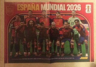 Lote pósters Selección Española