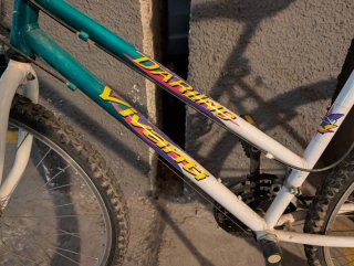 Bicicleta de montaña blanca y verde