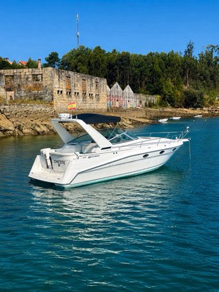 Cruisers Rogue 3070