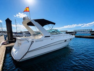 Cruisers Rogue 3070