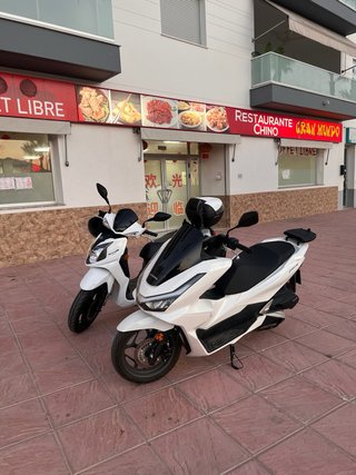 Honda PCX DX 125cc Sep. 2026 Scooter Blanca
