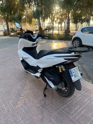 Honda PCX DX 125cc Sep. 2026 Scooter Blanca