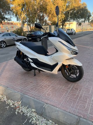 Honda PCX DX 125cc Sep. 2026 Scooter Blanca