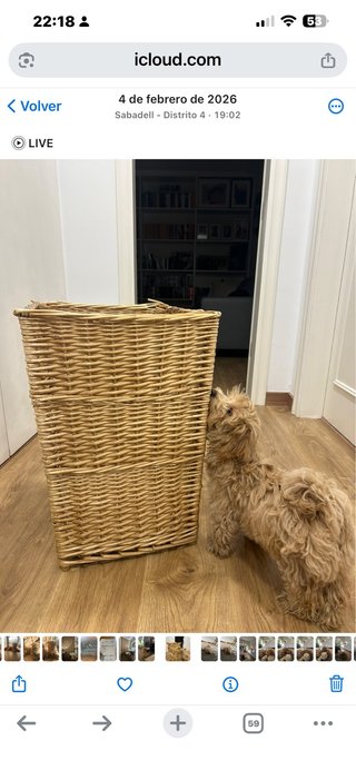 Cesta mimbre grande sin tapa