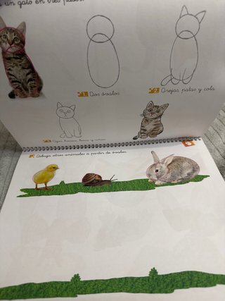 Libro de actividades plásticas para niños