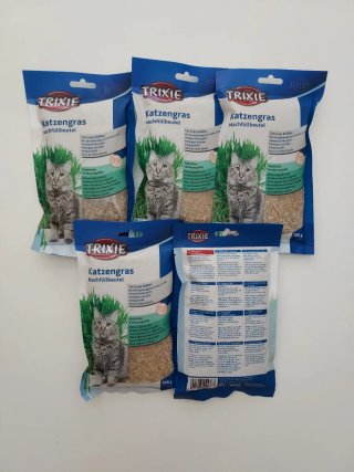 Semillas de hierba para gatos