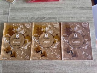 Lingua 6 Primaria Anaya