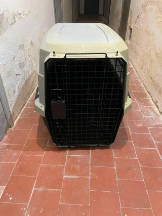 Transportín Perro Grande Beige/Negro