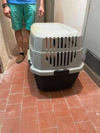 Transportín Perro Grande Beige/Negro