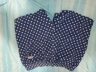 Bañador Polo Ralph Lauren Azul/Blanco