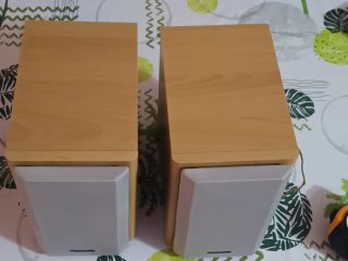 Altavoces Panasonic Madera Beige