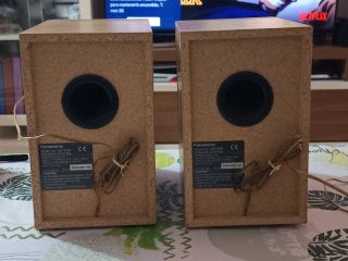 Altavoces Panasonic Madera Beige