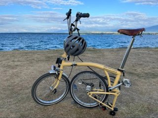 Brompton Arena Sand