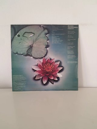 Vinilo Mahavishnu Orchestra - Between Nothingness