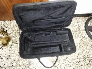 Trompeta dorada con funda