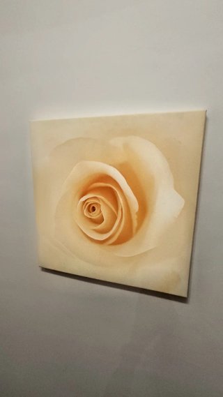 Conjunto de 7 cuadros decorativos