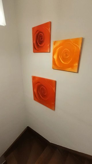 Conjunto de 7 cuadros decorativos