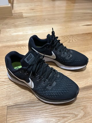 Nike Pegasus 34 Talla 41