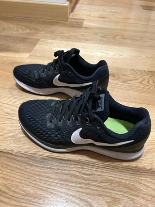 Nike Pegasus 34 Talla 41