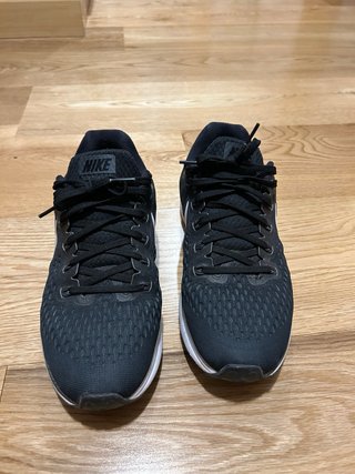 Nike Pegasus 34 Talla 41