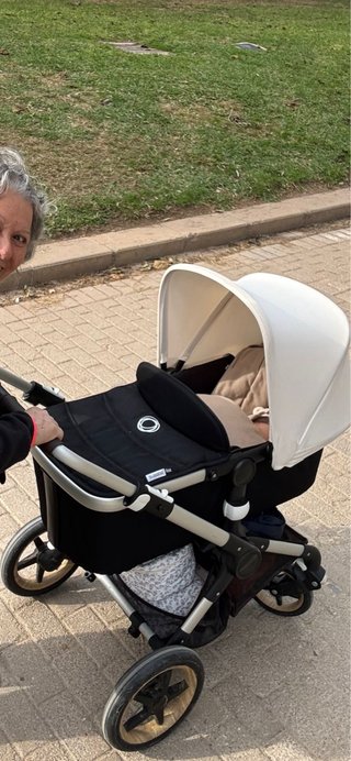 Carro Bugaboo con capazo y silla