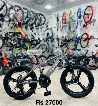 Bicicleta Imperial Negra y Azul