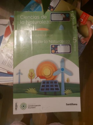 CIENCIAS DE LA NATURALEZA 5 PRIMARIA CONSTRUYEN...