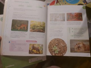 CIENCIAS DE LA NATURALEZA 5 PRIMARIA CONSTRUYEN...