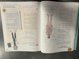 Natural Science, 6 Primary, Global Action