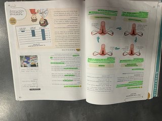 Natural Science, 6 Primary, Global Action