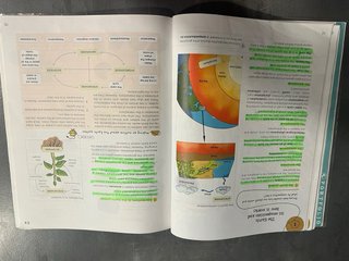 Natural Science, 6 Primary, Global Action