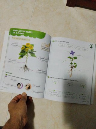 Libro de 1°  primaria Oxford natural Sciences