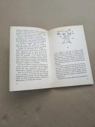 Libro juvenil