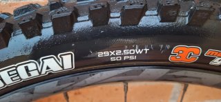 Cubiertas Maxxis Minion DHR II y Aggressor