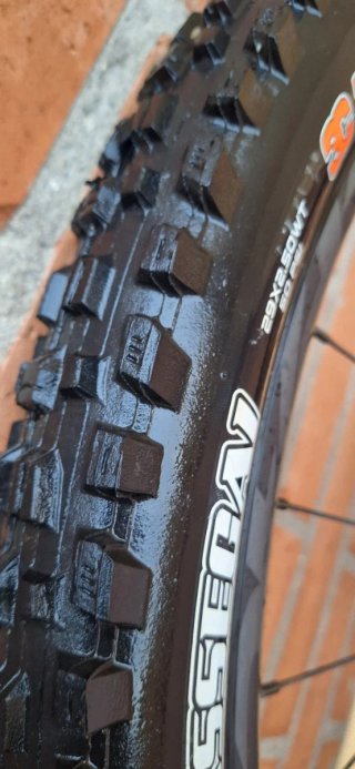 Cubiertas Maxxis Minion DHR II y Aggressor