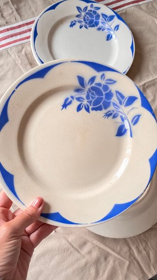 Juego 5 Platos Cerámica Digoin Sarreguemines