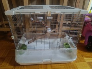 Jaula para loros o cotorras