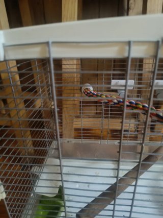 Jaula para loros o cotorras