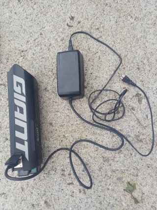 Bici eléctrica Giant talla M-L, muy poco uso
