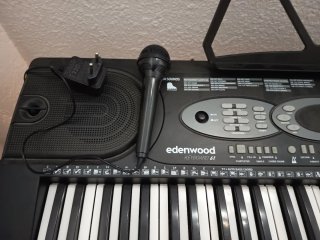 Teclado Edenwood 5 octavas para principiantes