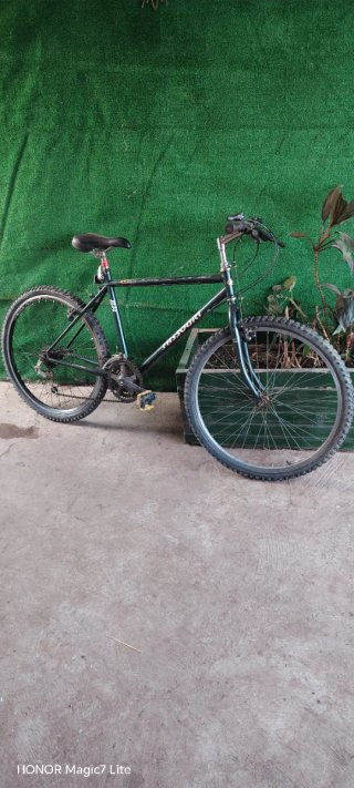 Bicicleta de montaña BH