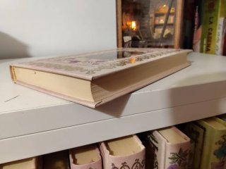 Libro adúltera