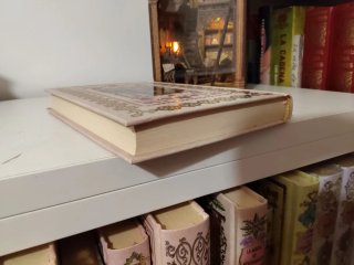 Libro adúltera