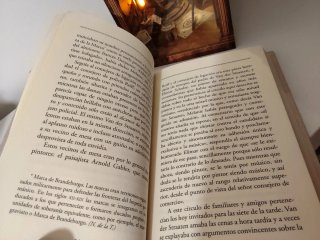 Libro adúltera