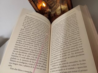 Libro adúltera